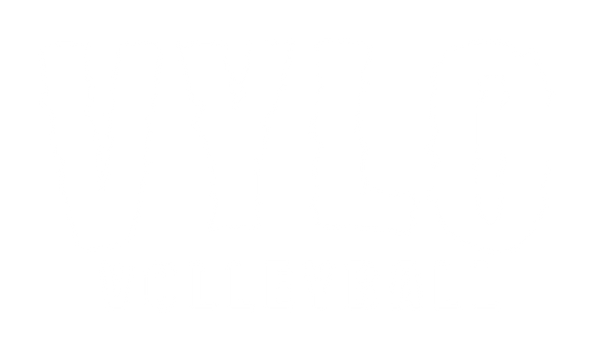VYLO Volleyball